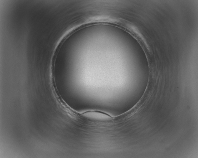 X0000074031328200608211126