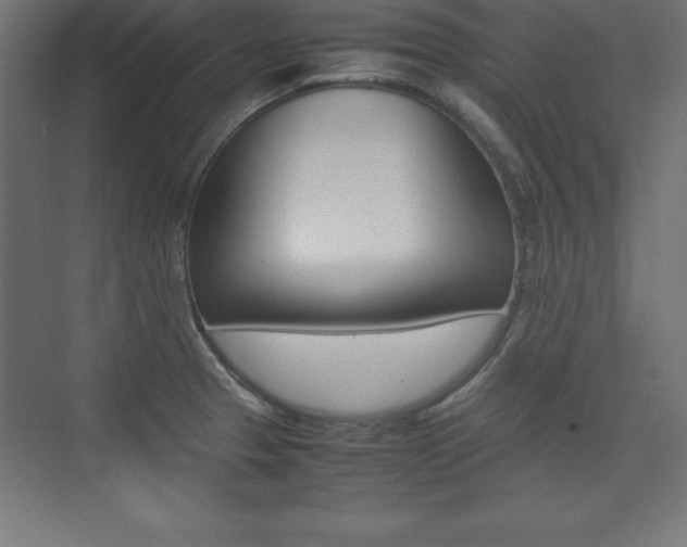 X0000074031329200608211126