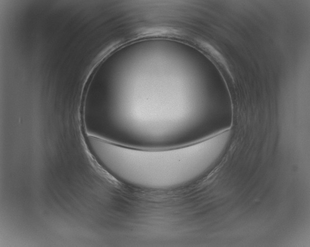 X0000074031330200608211126
