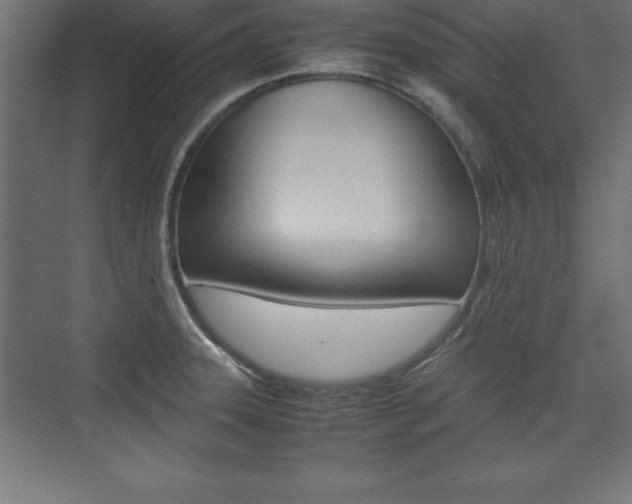 X0000074031331200608211126