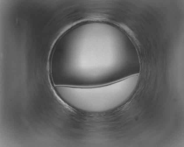 X0000074031335200608211126