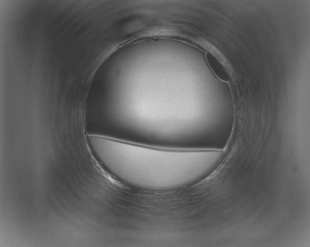 X0000074031337200608211126