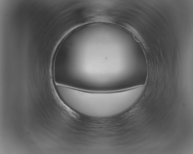 X0000074031339200608211126