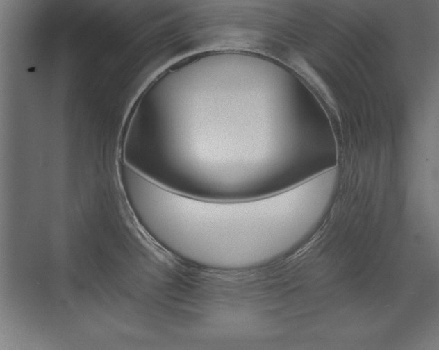 X0000074031340200608211126