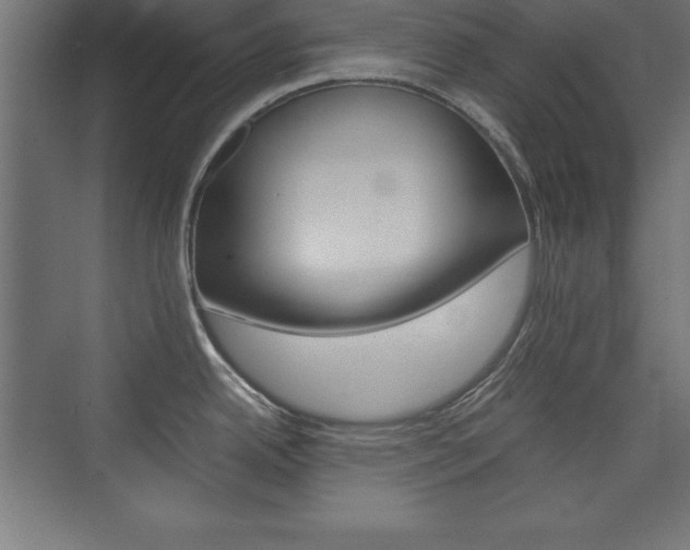 X0000074031342200608211126