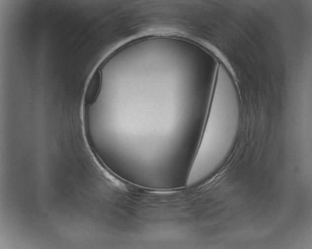 X0000074031343200608211126