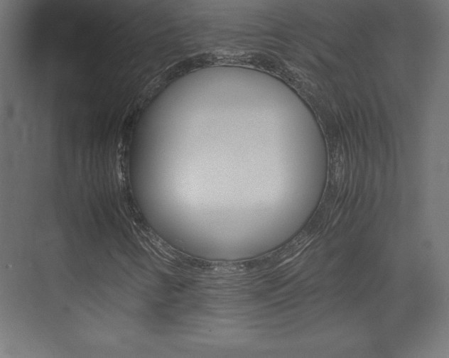 X0000074031346200608211125