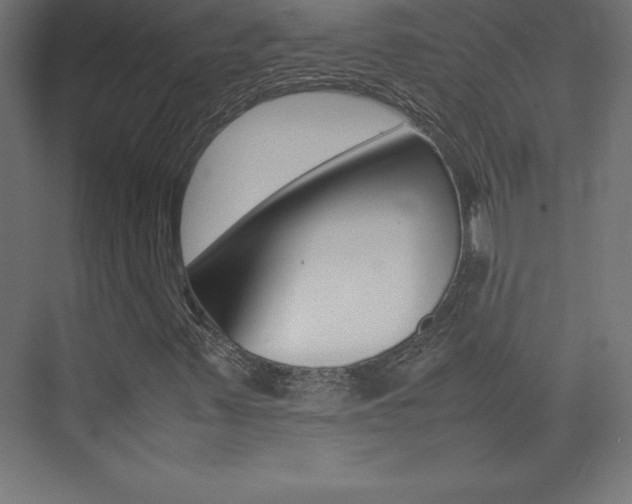 X0000074031347200608211125
