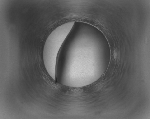 X0000074031348200608211125