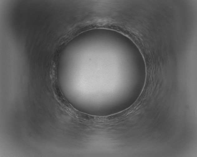 X0000074031349200608211125