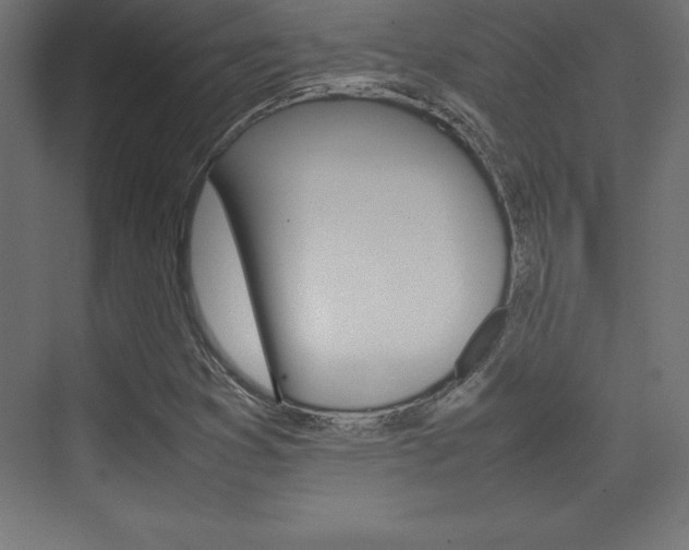 X0000074031353200608211125