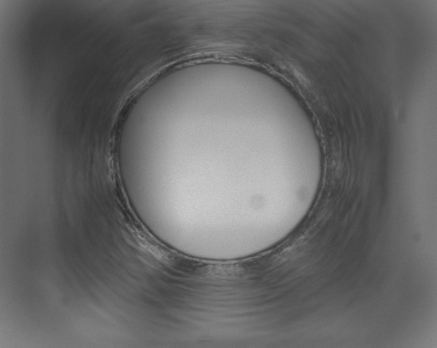 X0000074031354200608211125
