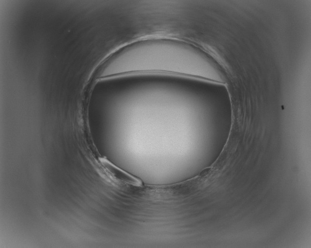X0000074031356200608211125