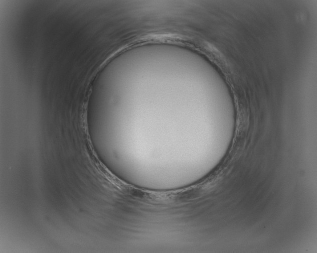 X0000074031361200608211125