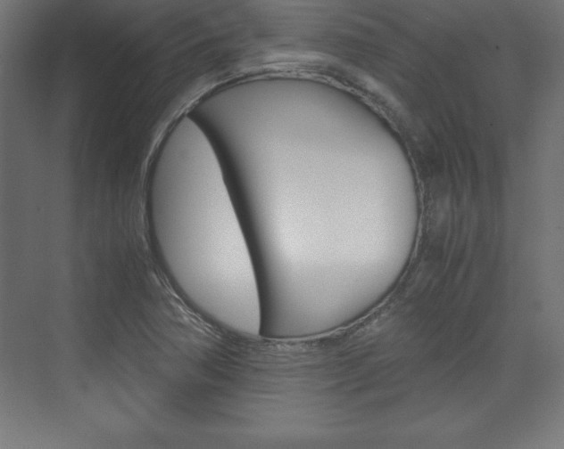 X0000074031362200608211125