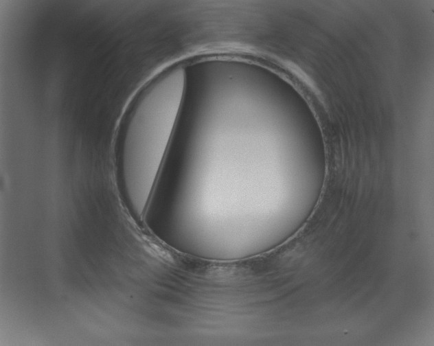 X0000074031364200608211125