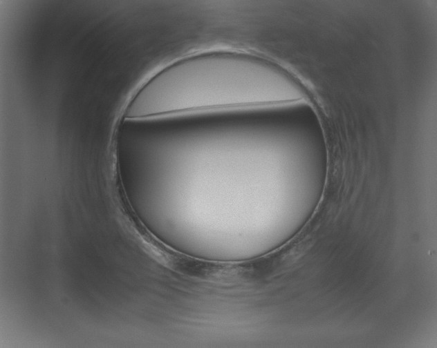 X0000074031367200608211125