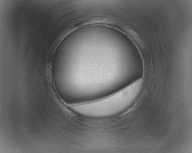 X0000074031369200608211125