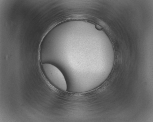 X0000074031370200608211125