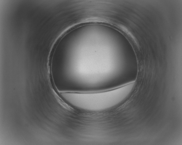 X0000074031372200608211125