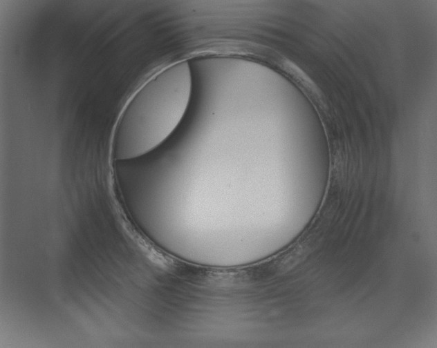 X0000074031378200608211125