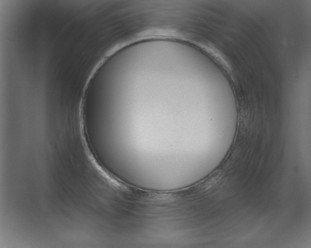 X0000074031382200608211125