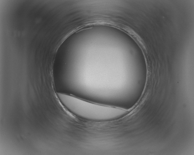 X0000074031385200608211125