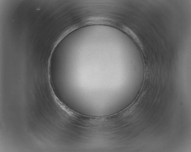 X0000074031386200608211125