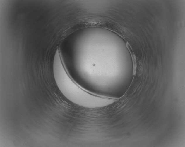 X0000074031394200608211124
