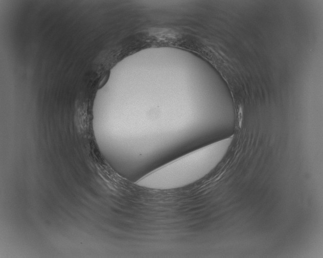 X0000074031395200608211124