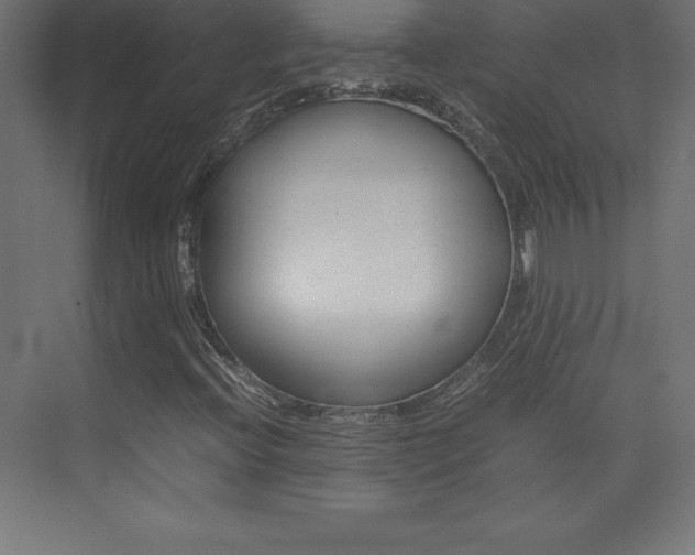 X0000074031396200608211124