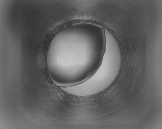X0000074031398200608211124