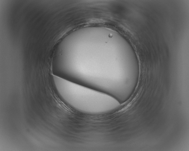X0000074031401200608211124