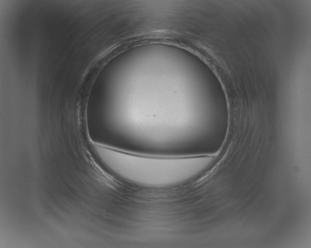 X0000074031402200608211124