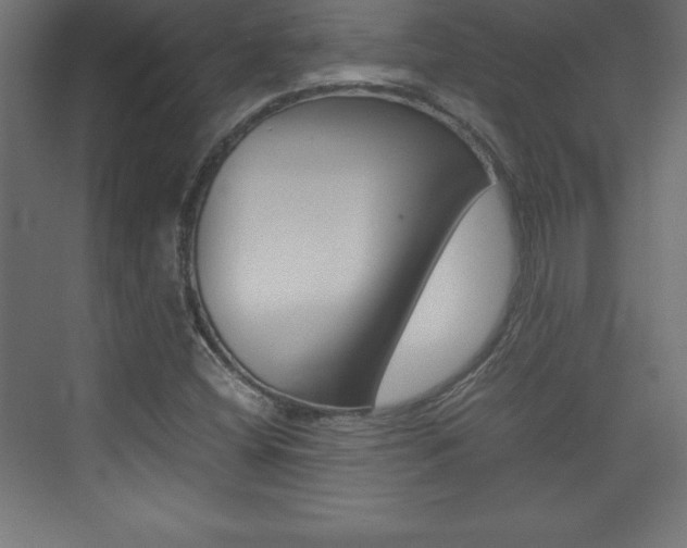 X0000074031404200608211124