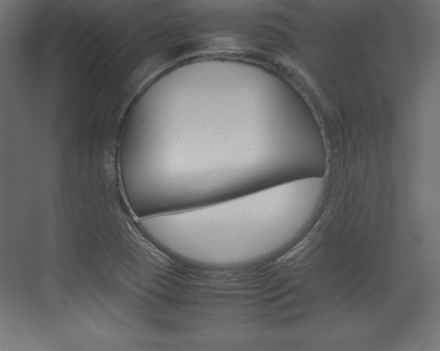 X0000074031409200608211124