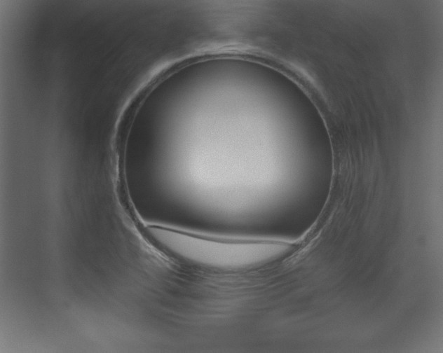 X0000074031414200608211124