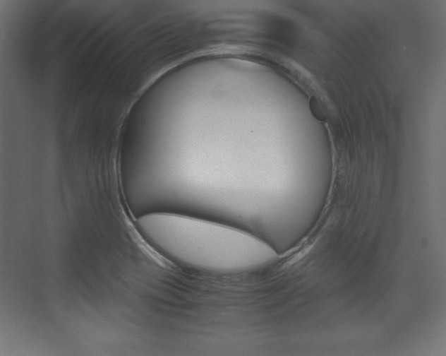 X0000074031417200608211124