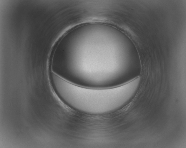 X0000074031422200608211124