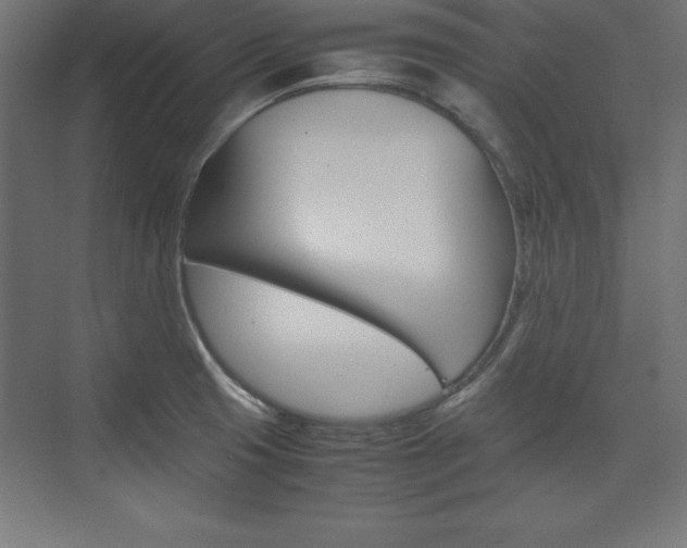 X0000074031425200608211124