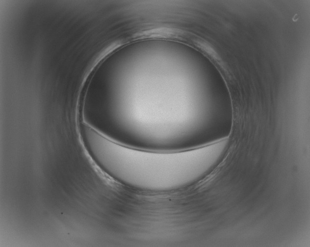 X0000074031426200608211124