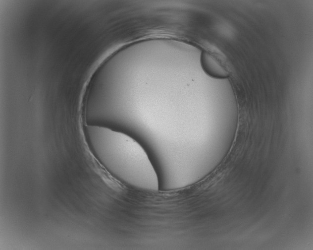 X0000074031427200608211124