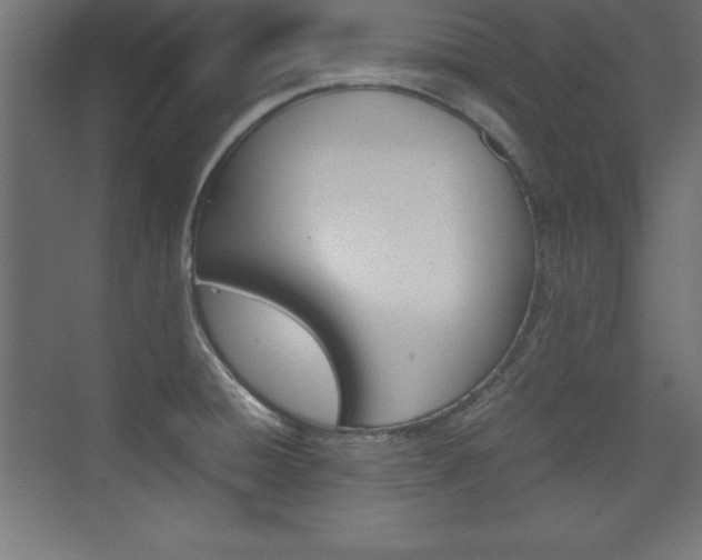 X0000074031428200608211124