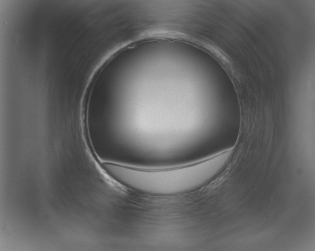 X0000074031430200608211124