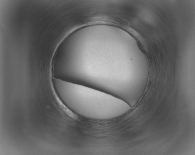 X0000074031431200608211124