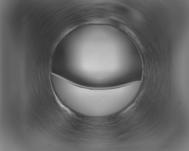 X0000074031433200608211124