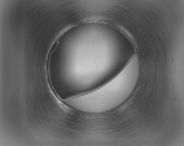 X0000074031434200608211124