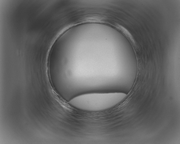 X0000074031435200608211124