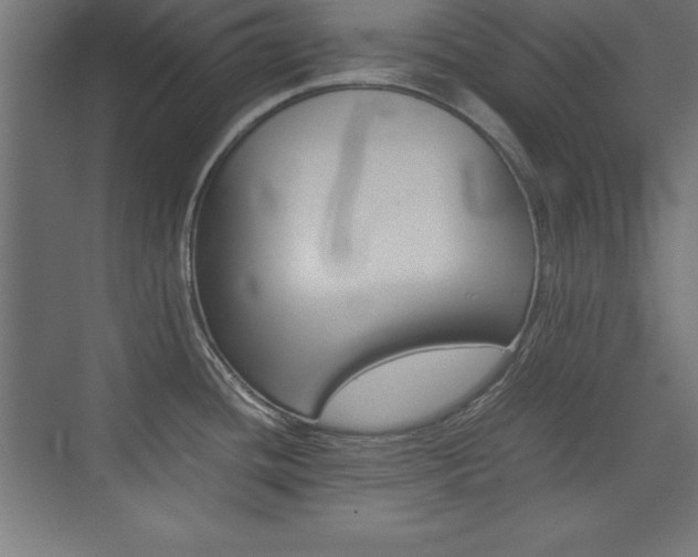 X0000074031436200608211124