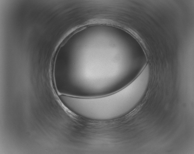 X0000074031438200608211125